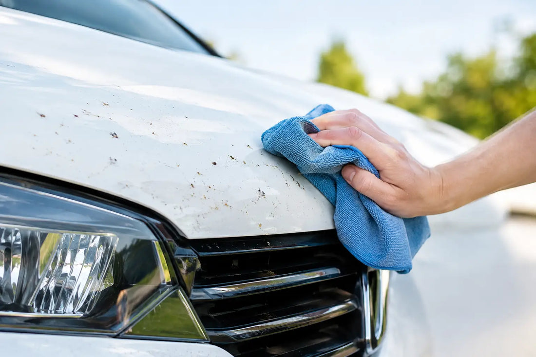 How to Remove Bug Splatter Without Hurting Paint
