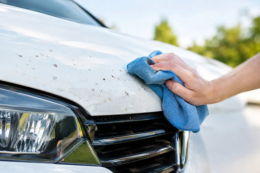 How to Remove Bug Splatter Without Hurting Paint